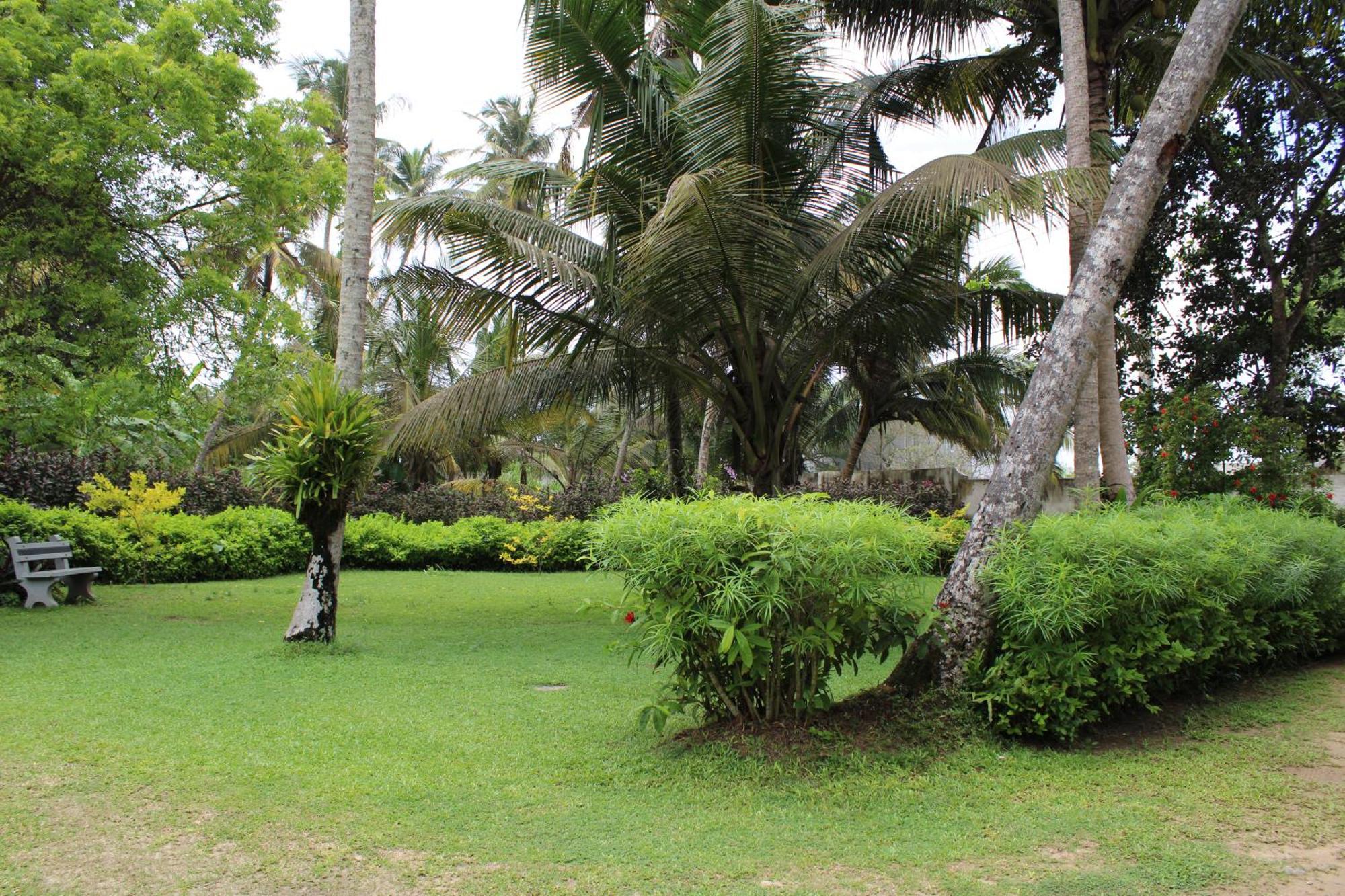 Sun And Surf Rest Hotel Ahangama Buitenkant foto