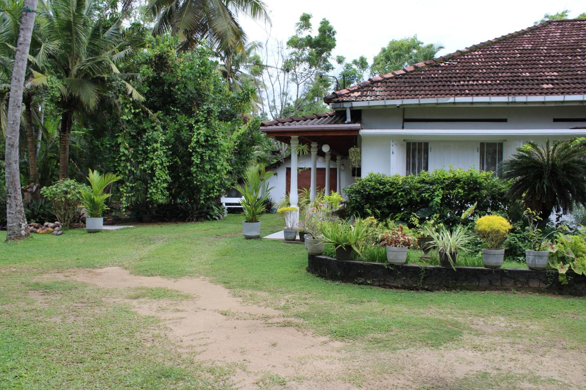 Sun And Surf Rest Hotel Ahangama Buitenkant foto