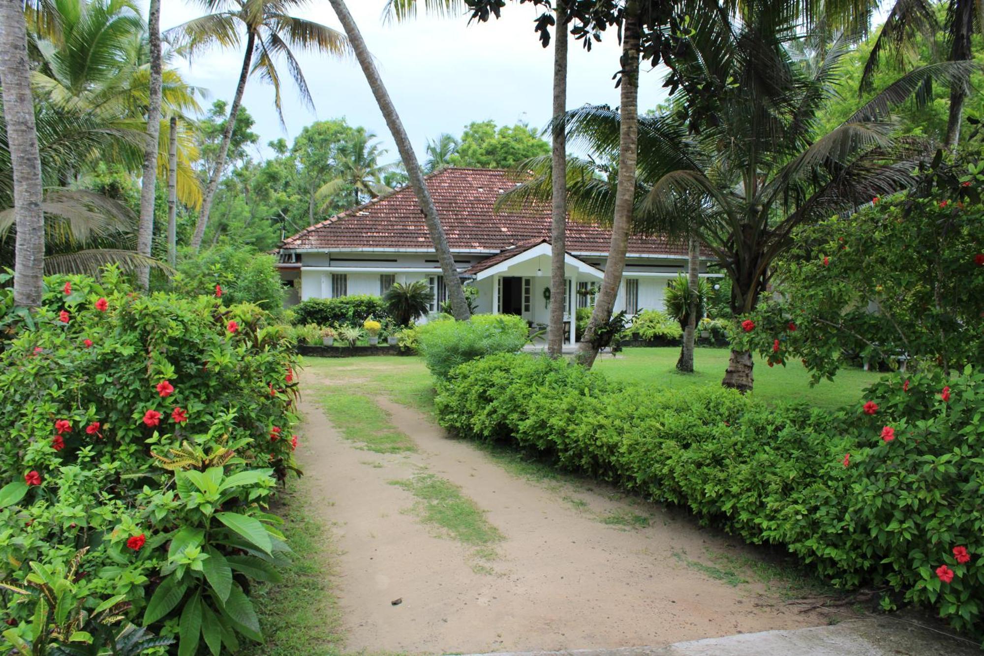 Sun And Surf Rest Hotel Ahangama Buitenkant foto