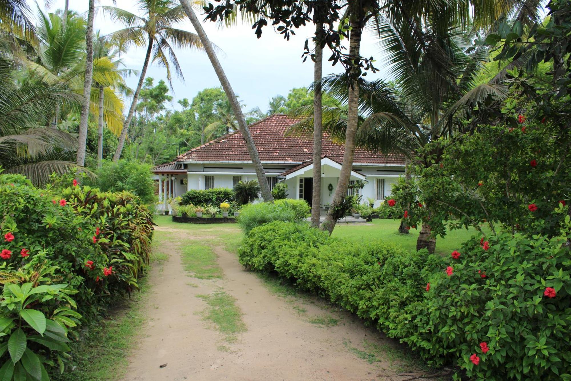 Sun And Surf Rest Hotel Ahangama Buitenkant foto
