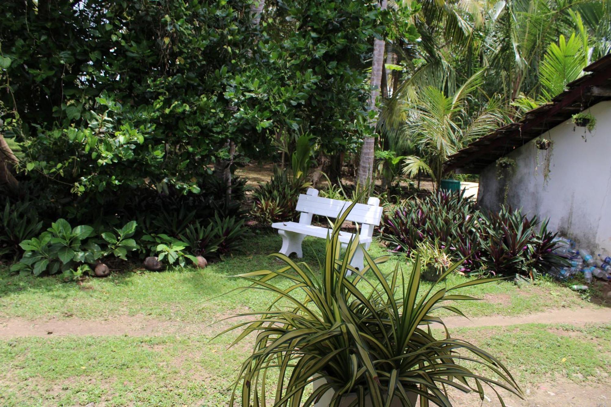 Sun And Surf Rest Hotel Ahangama Buitenkant foto