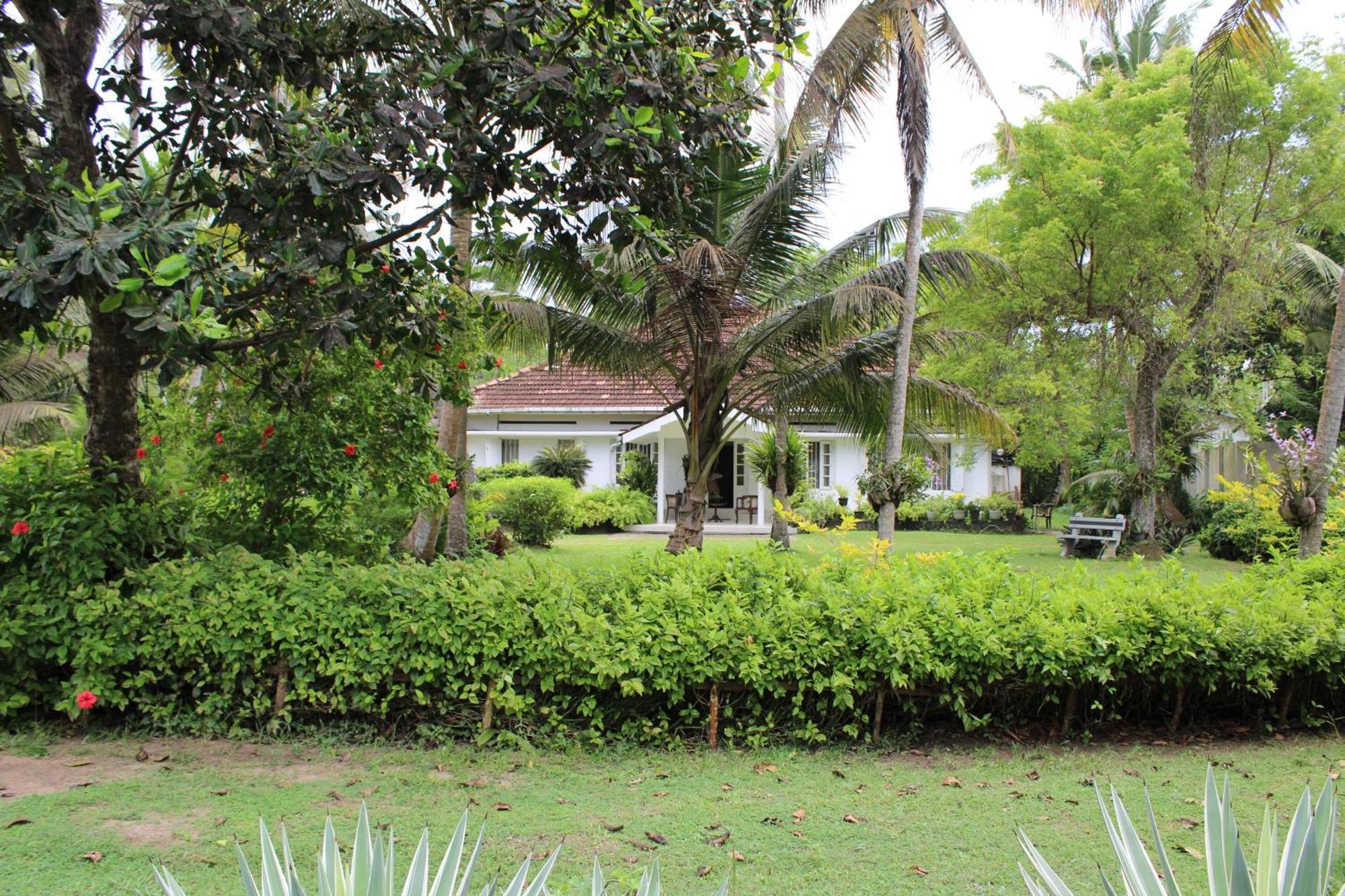 Sun And Surf Rest Hotel Ahangama Buitenkant foto