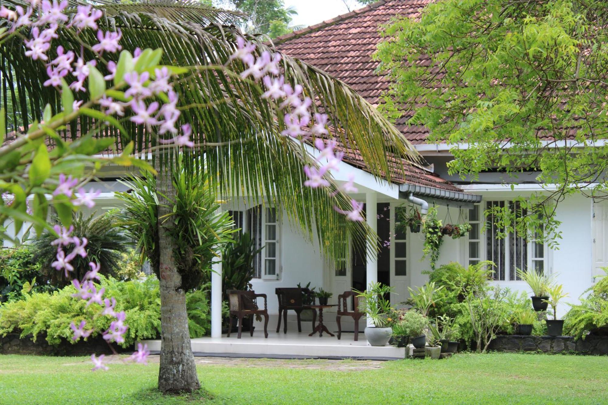 Sun And Surf Rest Hotel Ahangama Buitenkant foto