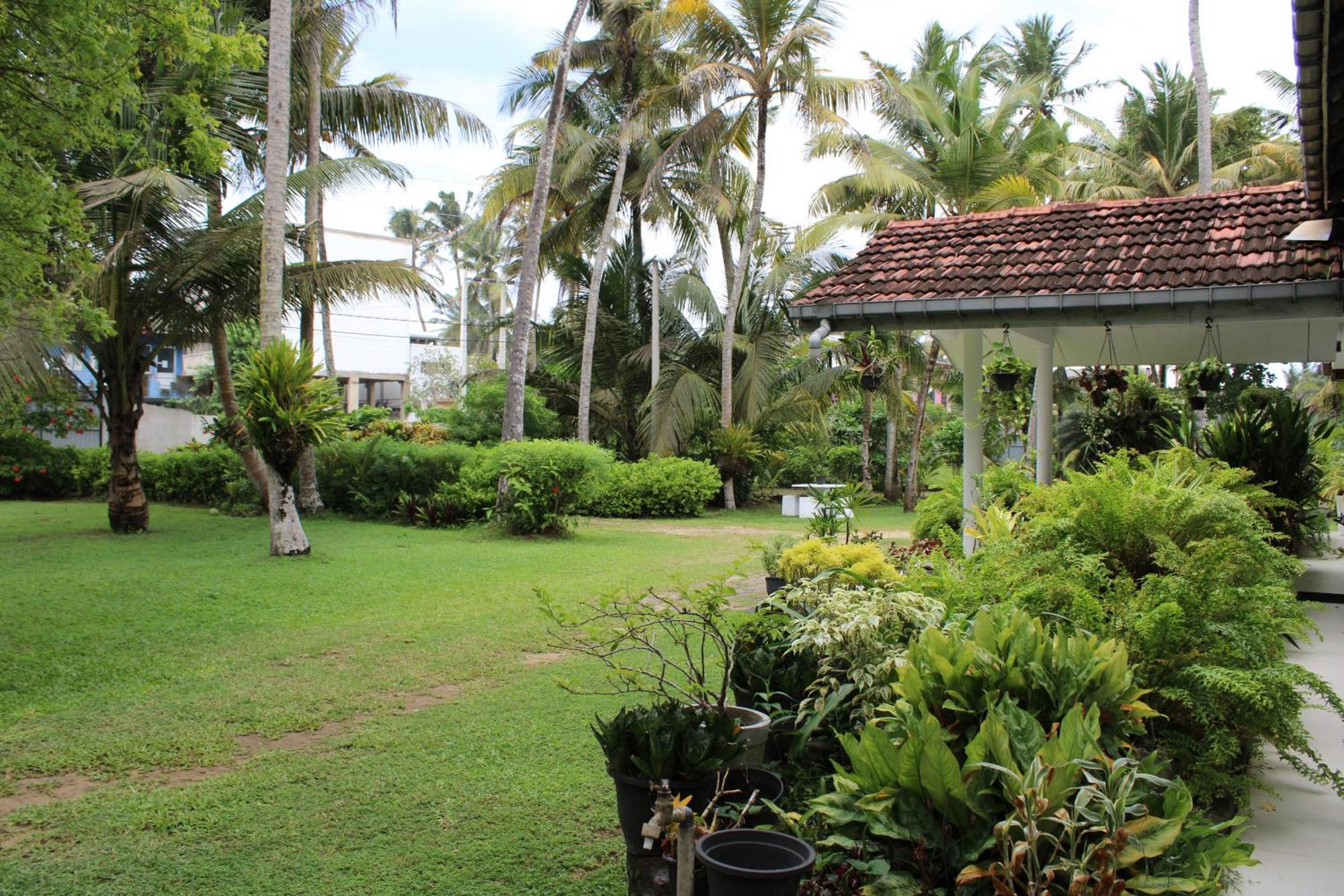 Sun And Surf Rest Hotel Ahangama Buitenkant foto