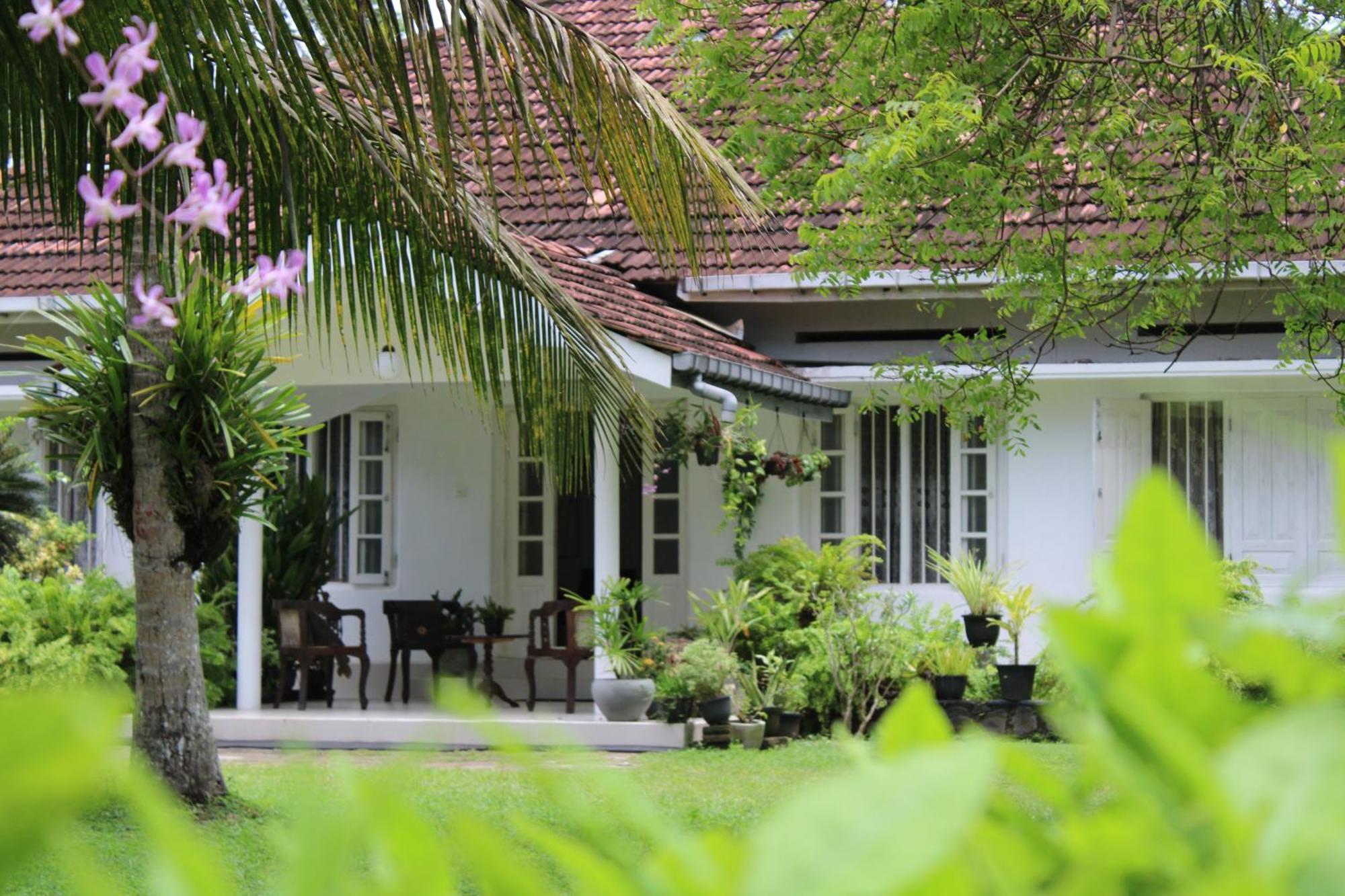 Sun And Surf Rest Hotel Ahangama Buitenkant foto