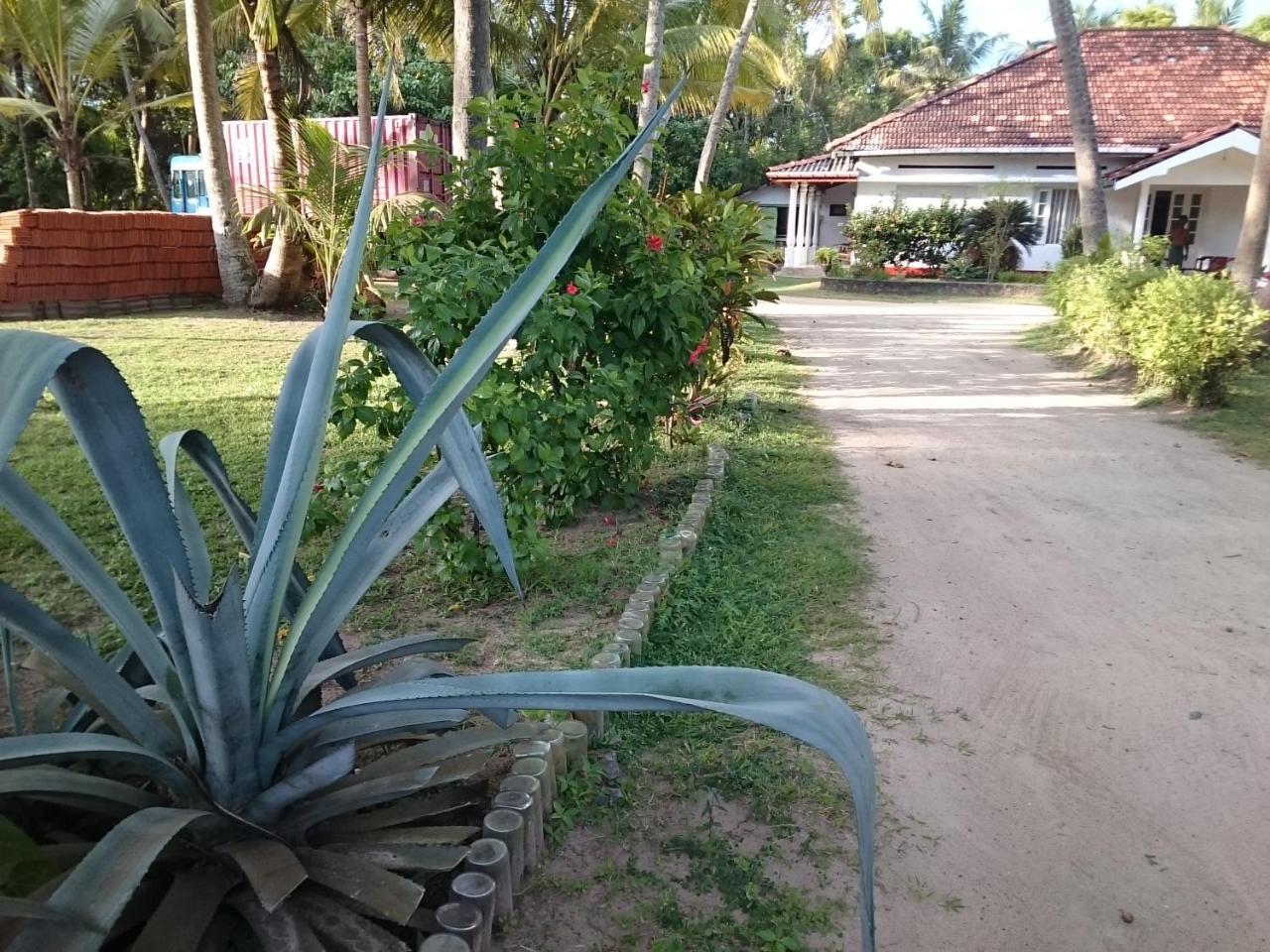 Sun And Surf Rest Hotel Ahangama Buitenkant foto