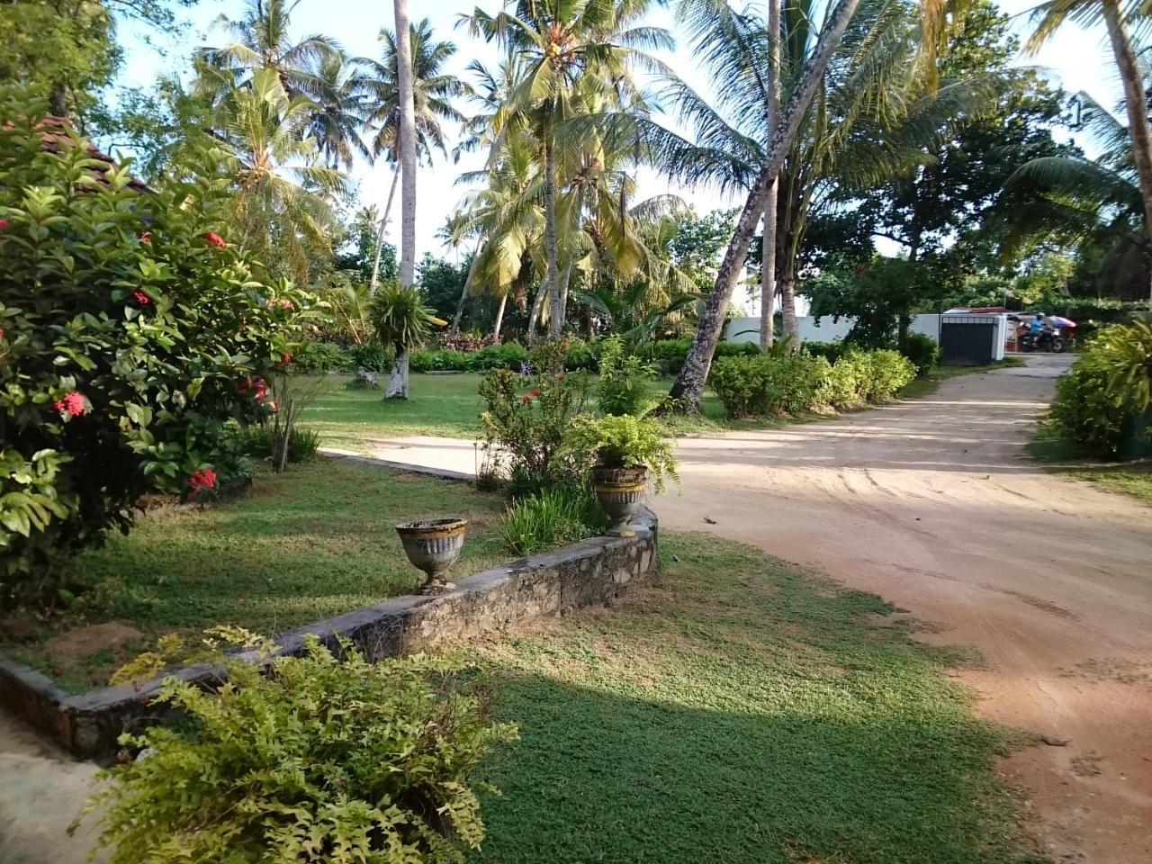 Sun And Surf Rest Hotel Ahangama Buitenkant foto
