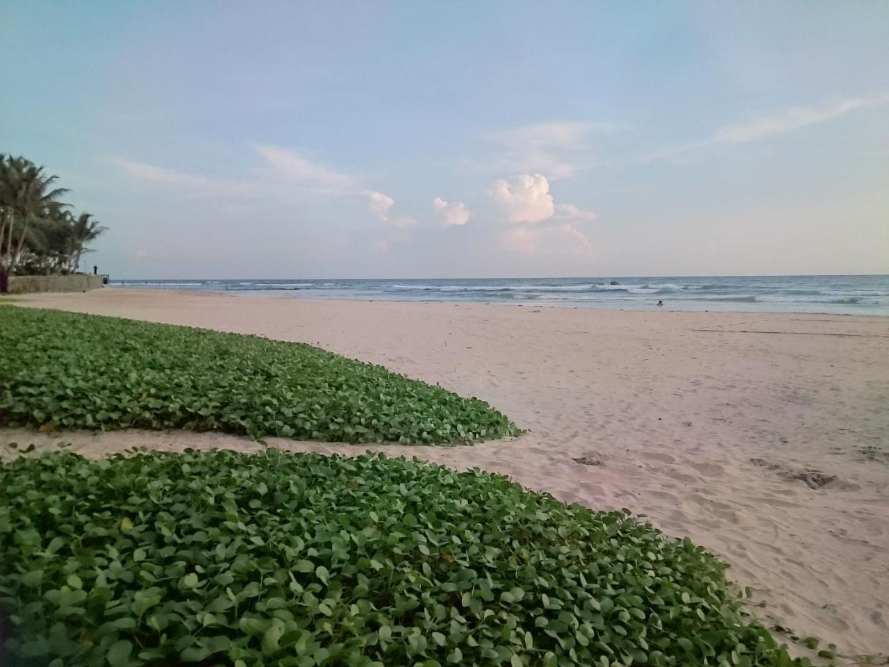 Sun And Surf Rest Hotel Ahangama Buitenkant foto