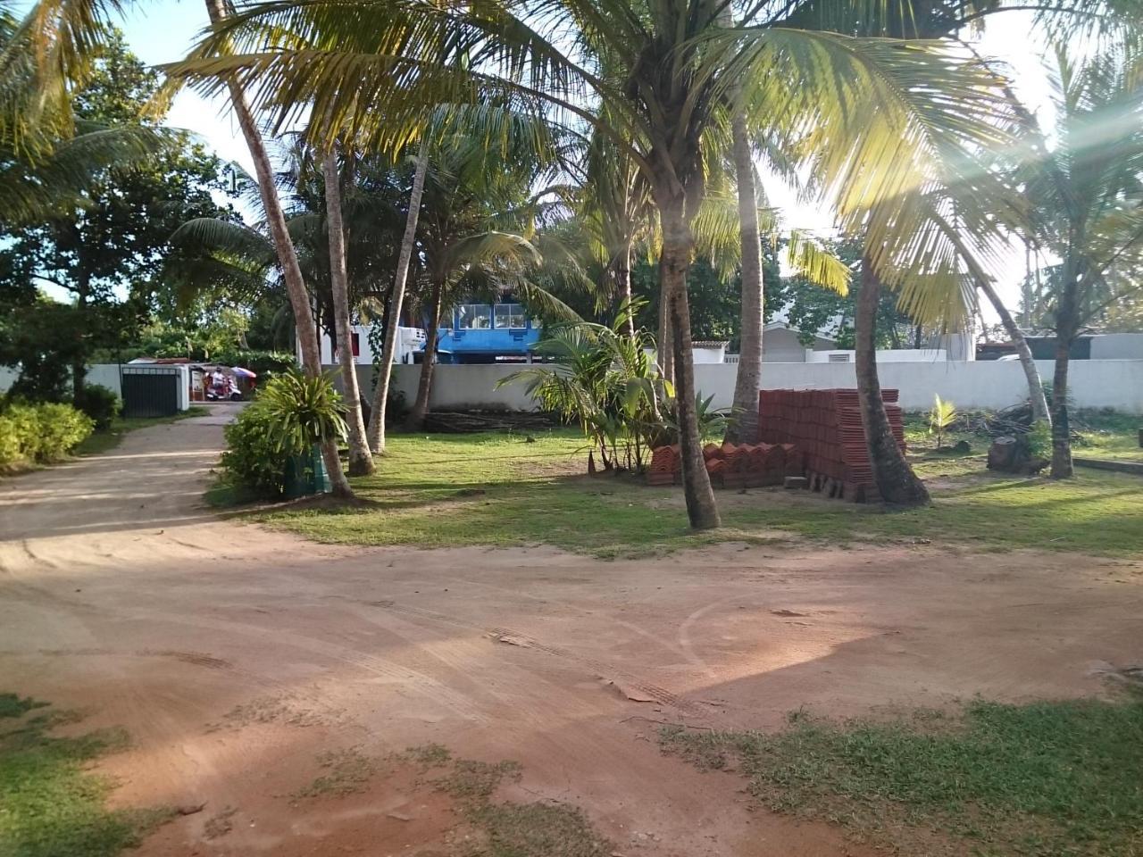 Sun And Surf Rest Hotel Ahangama Buitenkant foto